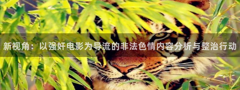 798影院免费观看网站：新视角：以强奸电影为导流的非法色情内容分析与整治行动
