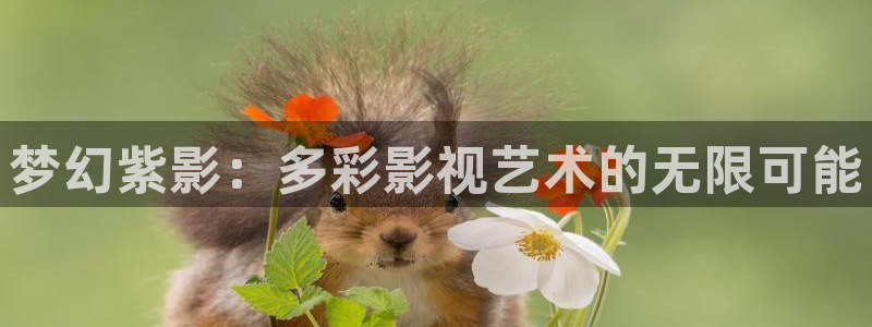 98k在线观看影院：梦幻紫影：多彩影视艺术的无限可能