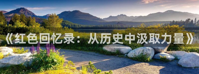 请回答1988高清在线观看：《红色回忆录：从历史中汲取力量》