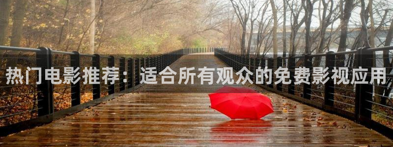 989影院：热门电影推荐：适合所有观众的免费影视应用