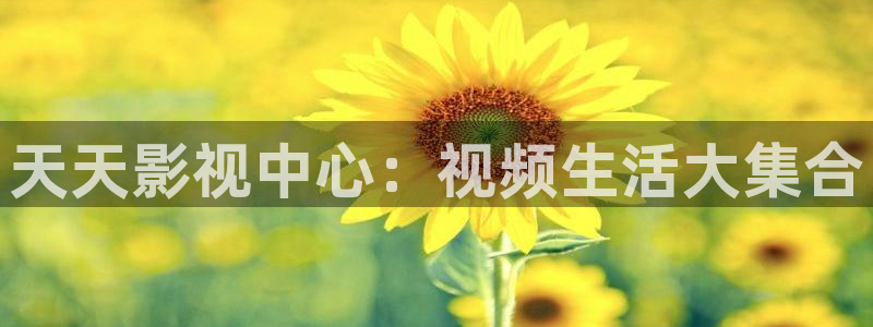 98av在线超碰：天天影视中心：视频生活大集合
