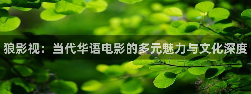 请回答1988免费观看全集完整版在线观看：狼影视：当代华语电影的多元魅力与文化深度