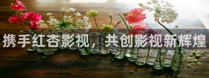 98在线影院：携手红杏影视，共创影视新辉煌