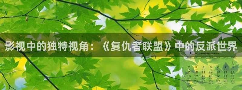 请回答1988高清在线看：影视中的独特视角：《复仇者联盟》中的反派世界