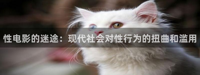 98视频网：性电影的迷途：现代社会对性行为的扭曲和滥用