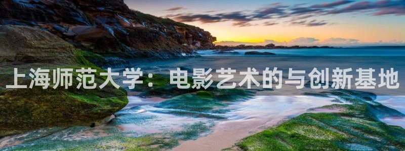 798影院在线观看免费播放电视剧下载：上海师范大学：电影艺术的与创新基地